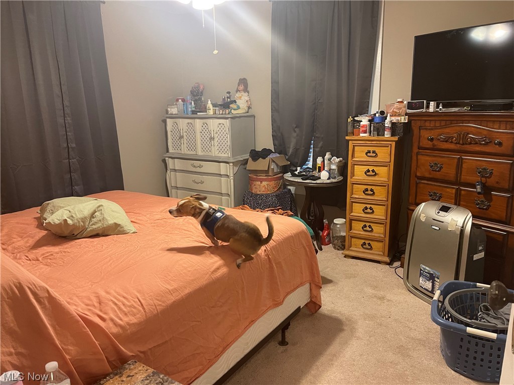 Brighton - Residential