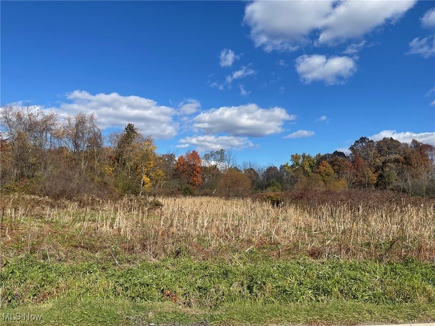10.16 acre partially cleared and wooded building lot in Portage County and Field LSD. Bring your own builder. No building restrictions. Lot G has been perk tested and  passed and lot H did not perk test. Directions: Take Cleveland Ave. N. to east on Pontius Rd. just north of State Route 619. Property is across the street from the house at 410 Pontius Rd.