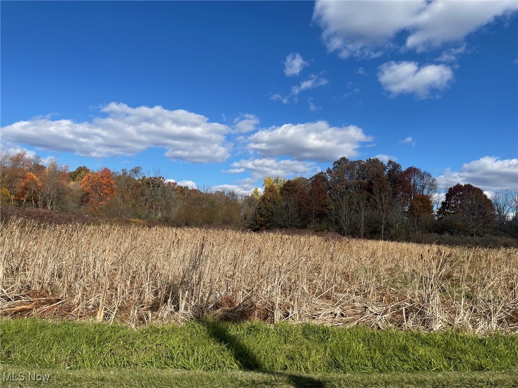 Pontius Road, Mogadore, Ohio image 3