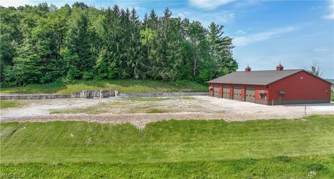 Photo of 42547 Belmont Centerville Road, Belmont, OH 43718 (MLS # 5216824)