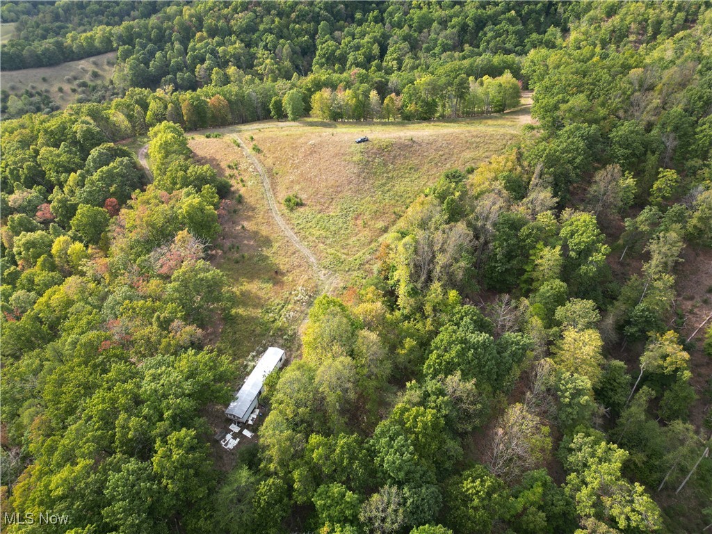 10206 Gillespie Run Road, Petroleum, West Virginia image 39