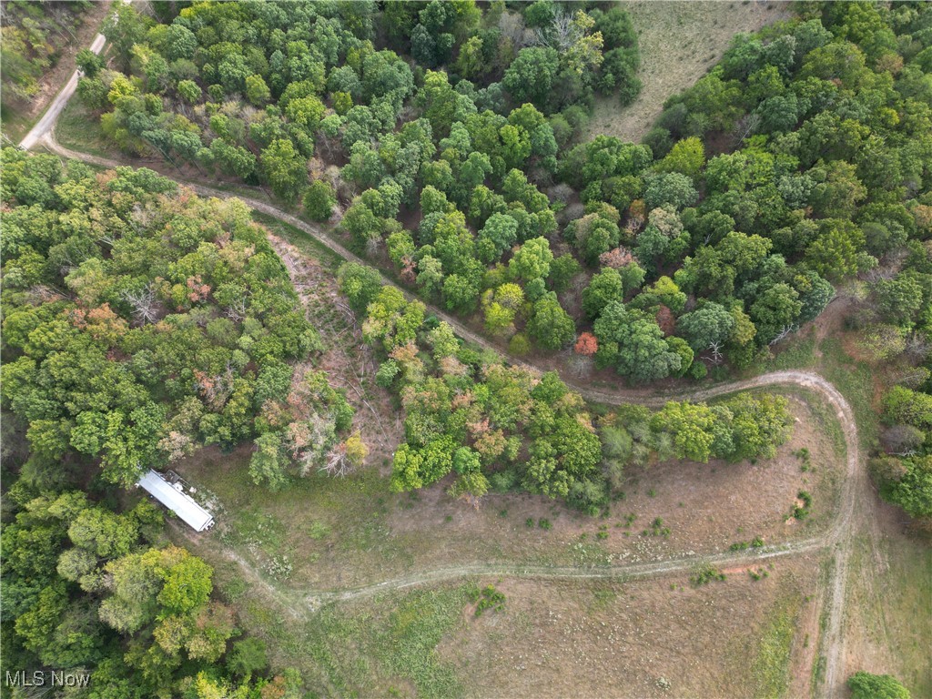 10206 Gillespie Run Road, Petroleum, West Virginia image 40