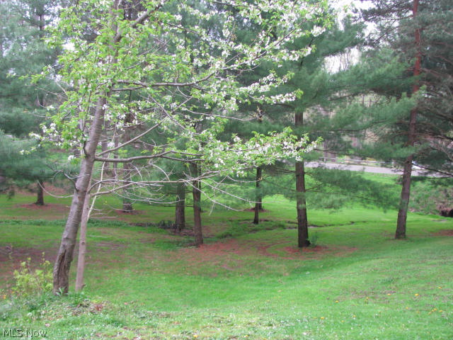 Sophie Klatka - Residential