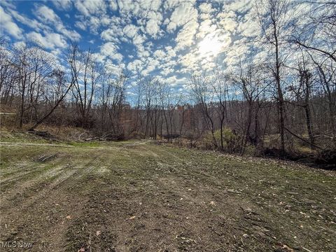 Vacant Land For Sale - Deaver Rd<br/> Morgan County, Mcconnelsville, OH 43756