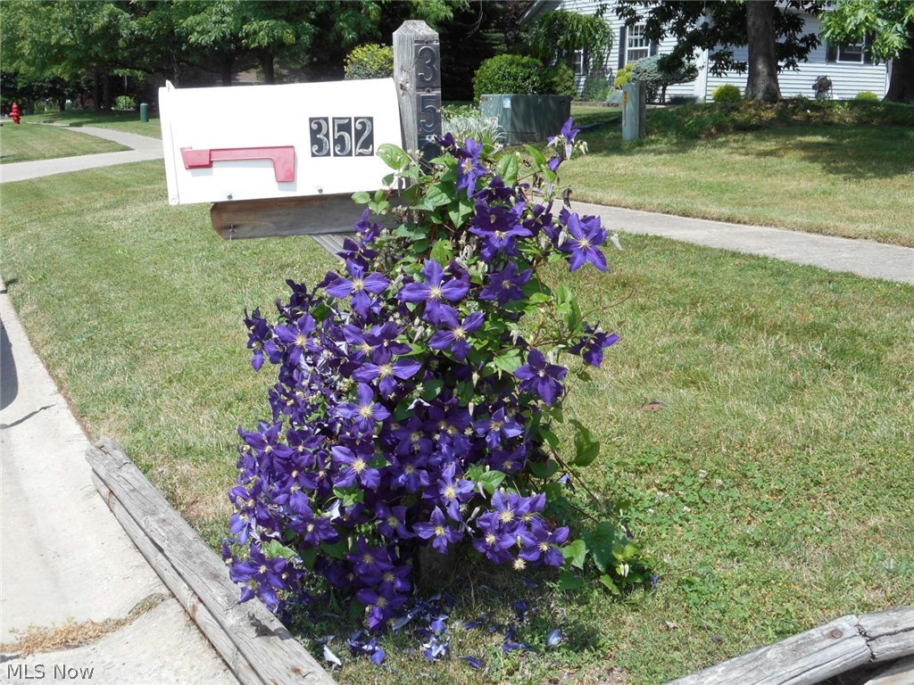 Madison Pkwy Estates - Residential