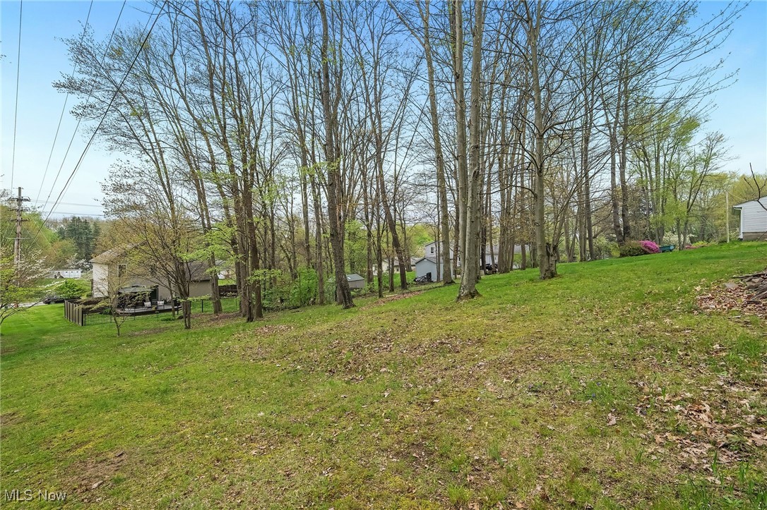 1247 Derbydale Road, Akron, Ohio image 45