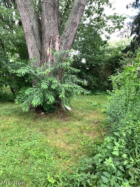 Mccourt - Residential