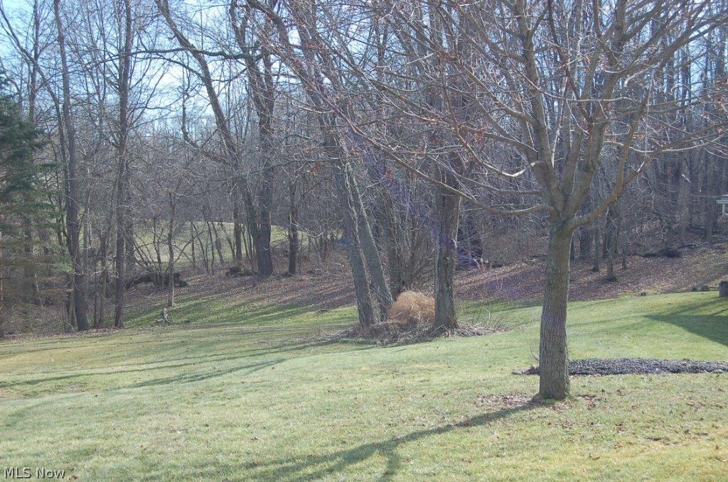 Mary Jonesco 1 - Residential