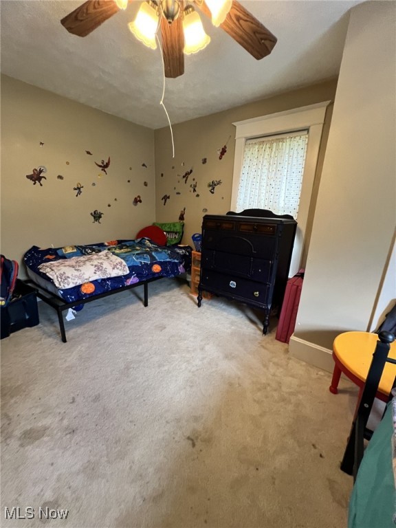 365 Lucca Street, Wooster, Ohio image 18