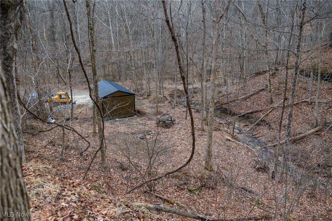 Shrimp Run Road, Caldwell, Ohio image 32