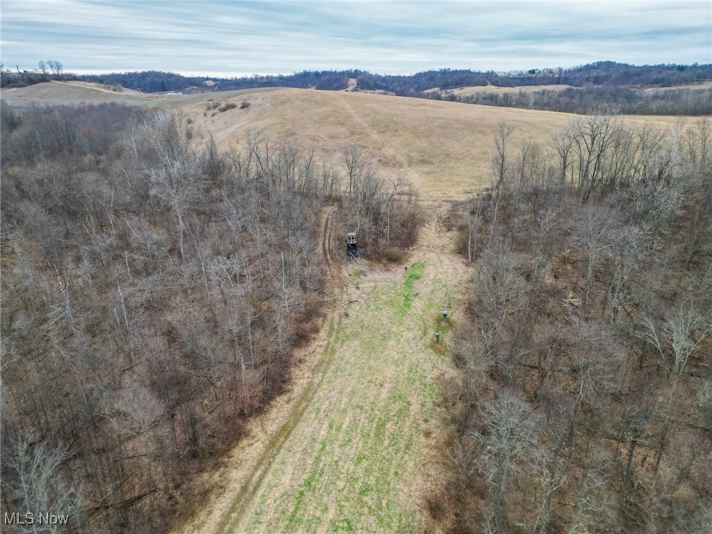 Shrimp Run Road, Caldwell, Ohio image 12