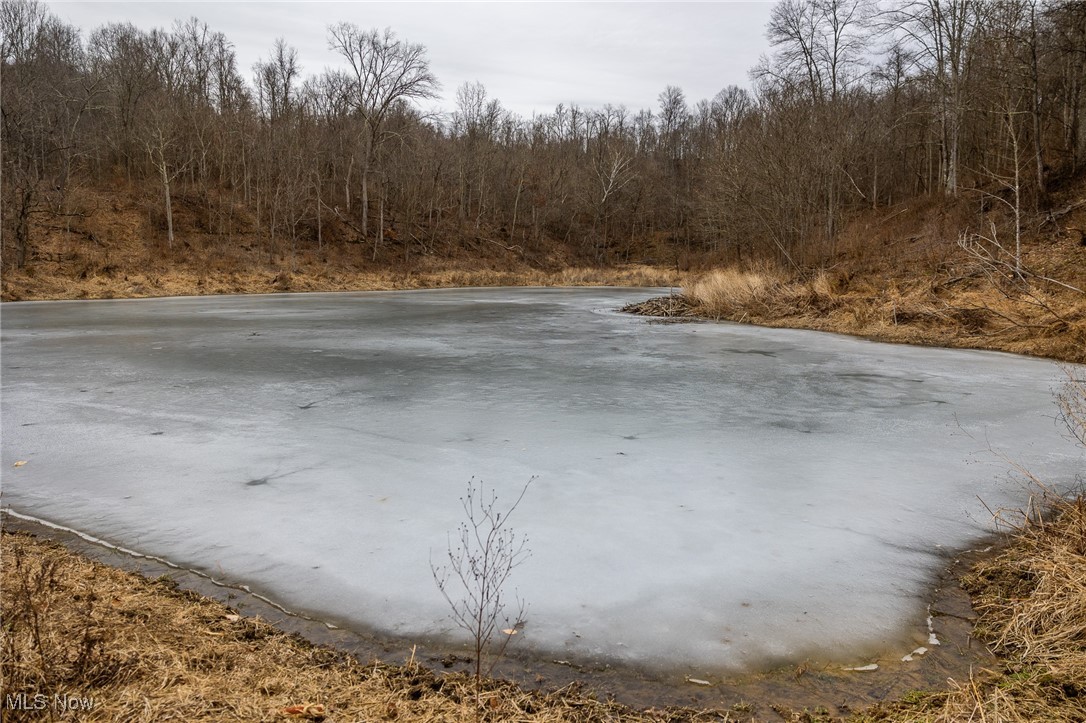 Shrimp Run Road, Caldwell, Ohio image 10