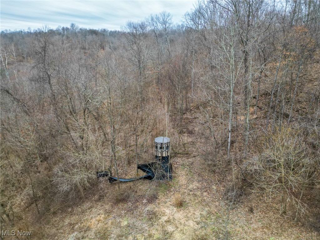 Shrimp Run Road, Caldwell, Ohio image 8