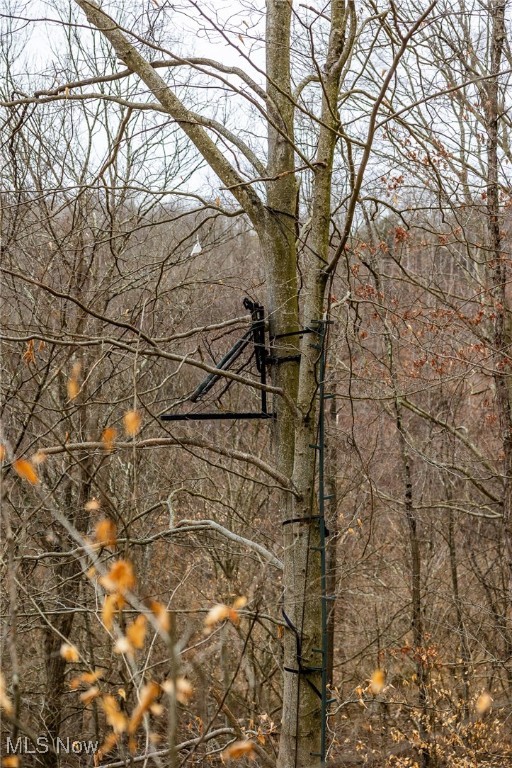 Shrimp Run Road, Caldwell, Ohio image 34