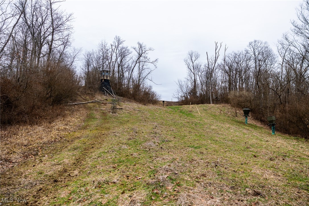 Shrimp Run Road, Caldwell, Ohio image 13