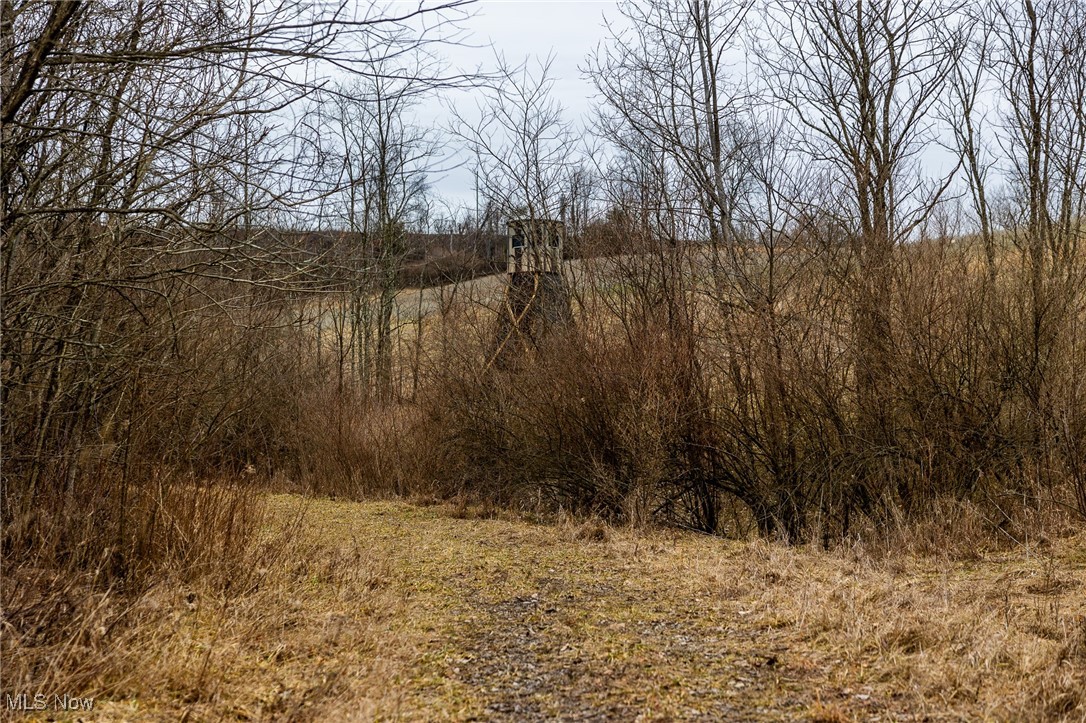 Shrimp Run Road, Caldwell, Ohio image 16