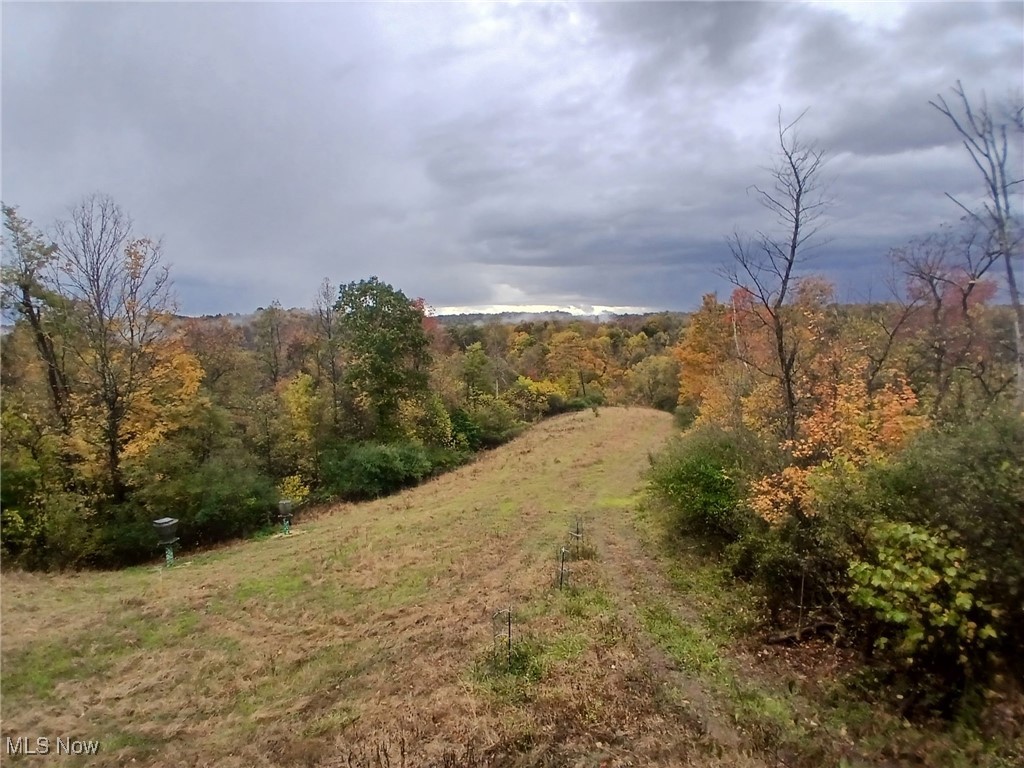 Shrimp Run Road, Caldwell, Ohio image 11