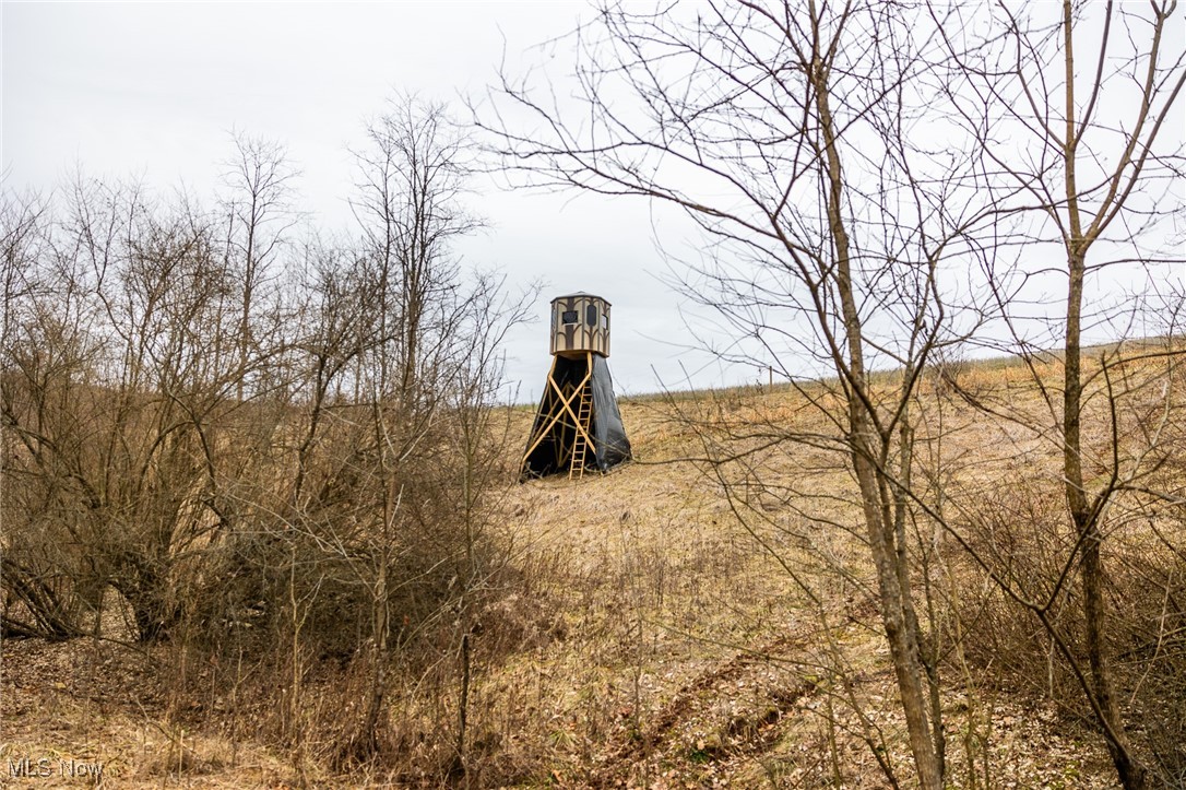 Shrimp Run Road, Caldwell, Ohio image 17