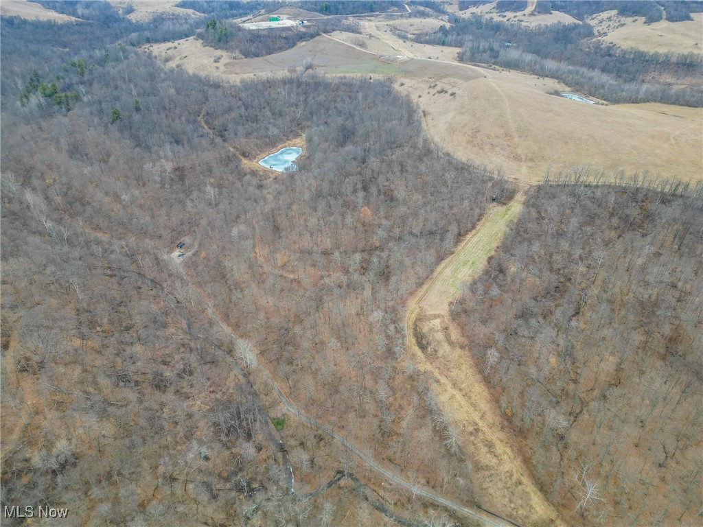 Shrimp Run Road, Caldwell, Ohio image 28