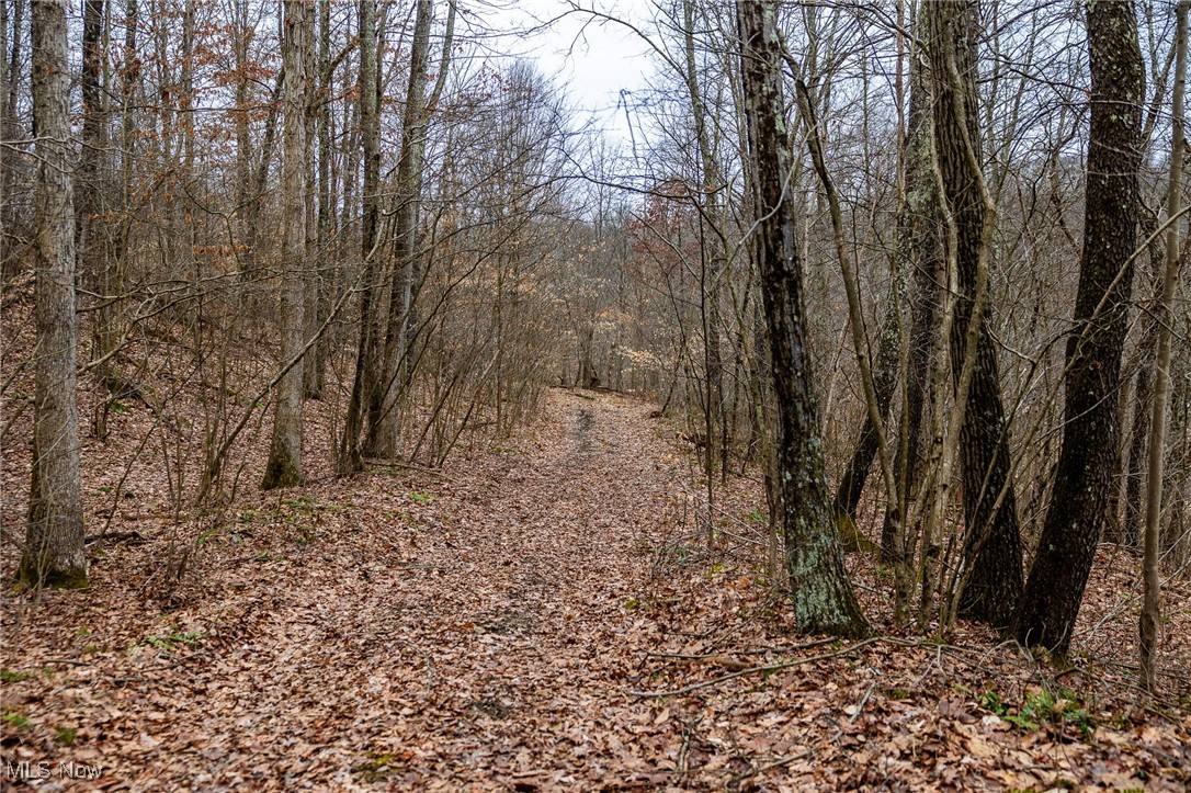 Shrimp Run Road, Caldwell, Ohio image 25