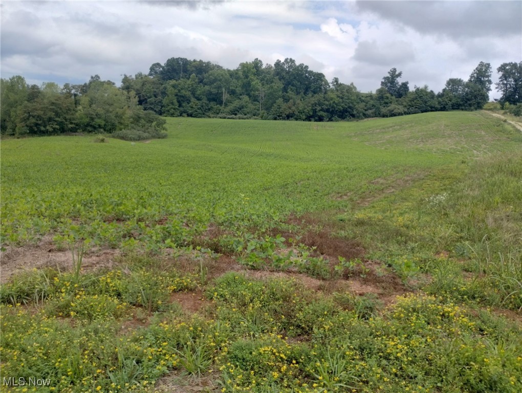 Shrimp Run Road, Caldwell, Ohio image 19