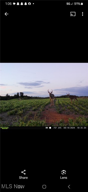 Shrimp Run Road, Caldwell, Ohio image 45