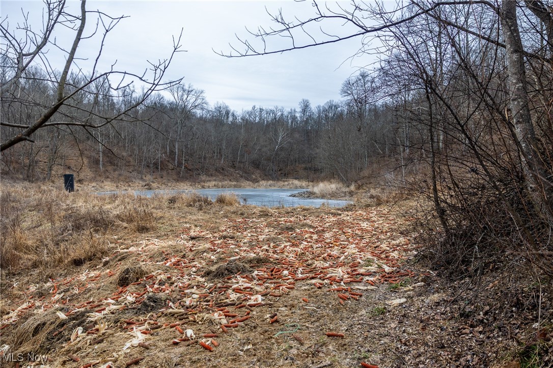 Shrimp Run Road, Caldwell, Ohio image 9