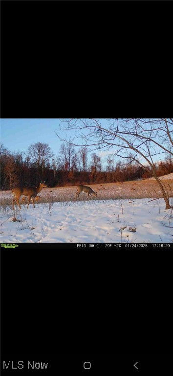 Shrimp Run Road, Caldwell, Ohio image 40