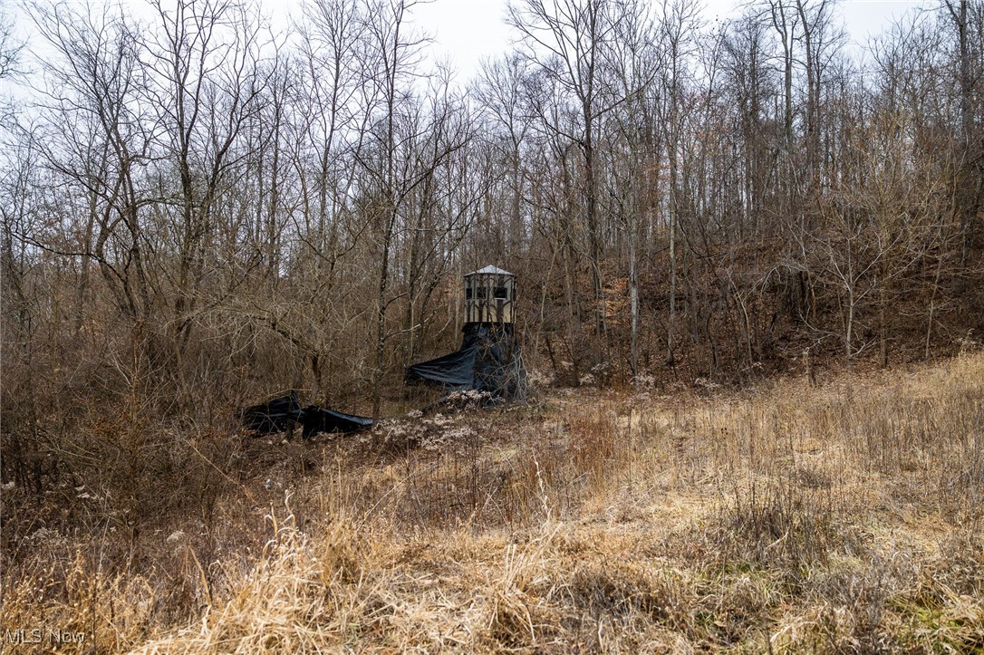 Shrimp Run Road, Caldwell, Ohio image 6