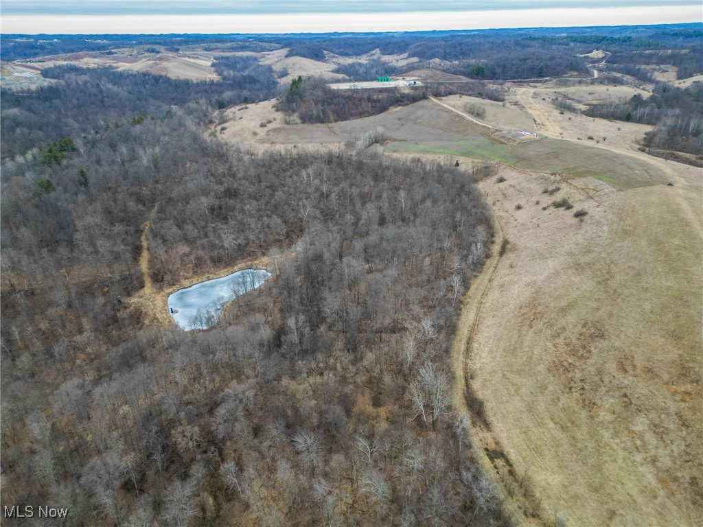 Shrimp Run Road, Caldwell, Ohio image 5