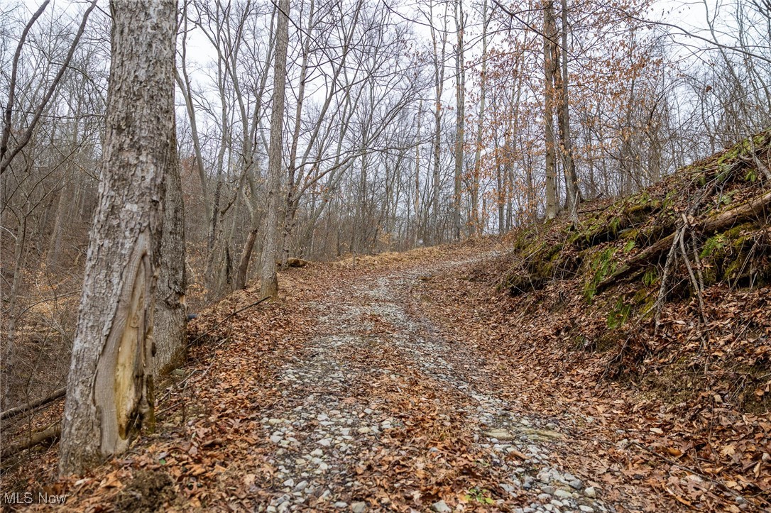 Shrimp Run Road, Caldwell, Ohio image 3