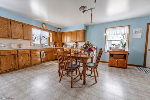 Tiny photo for 16352 Nauvoo Road, Middlefield, OH 44062 (MLS # 5190239)