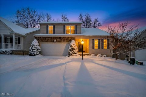 4532 Aylesworth Drive Brunswick OH 44212