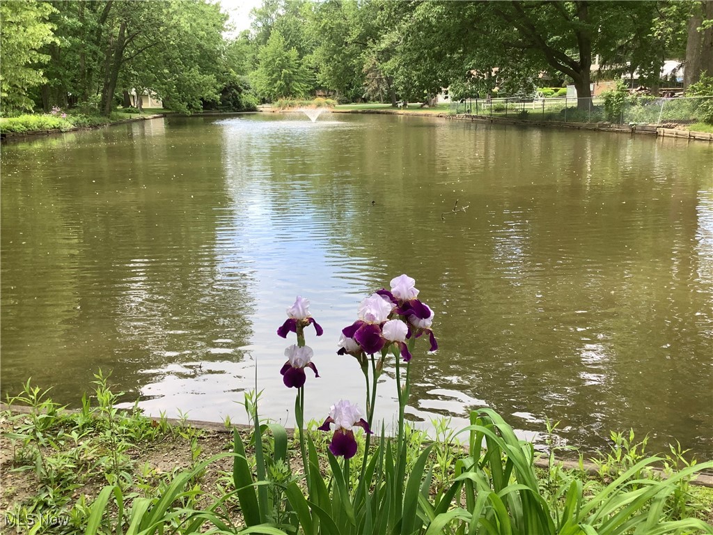Forest Lane Estates - Residential
