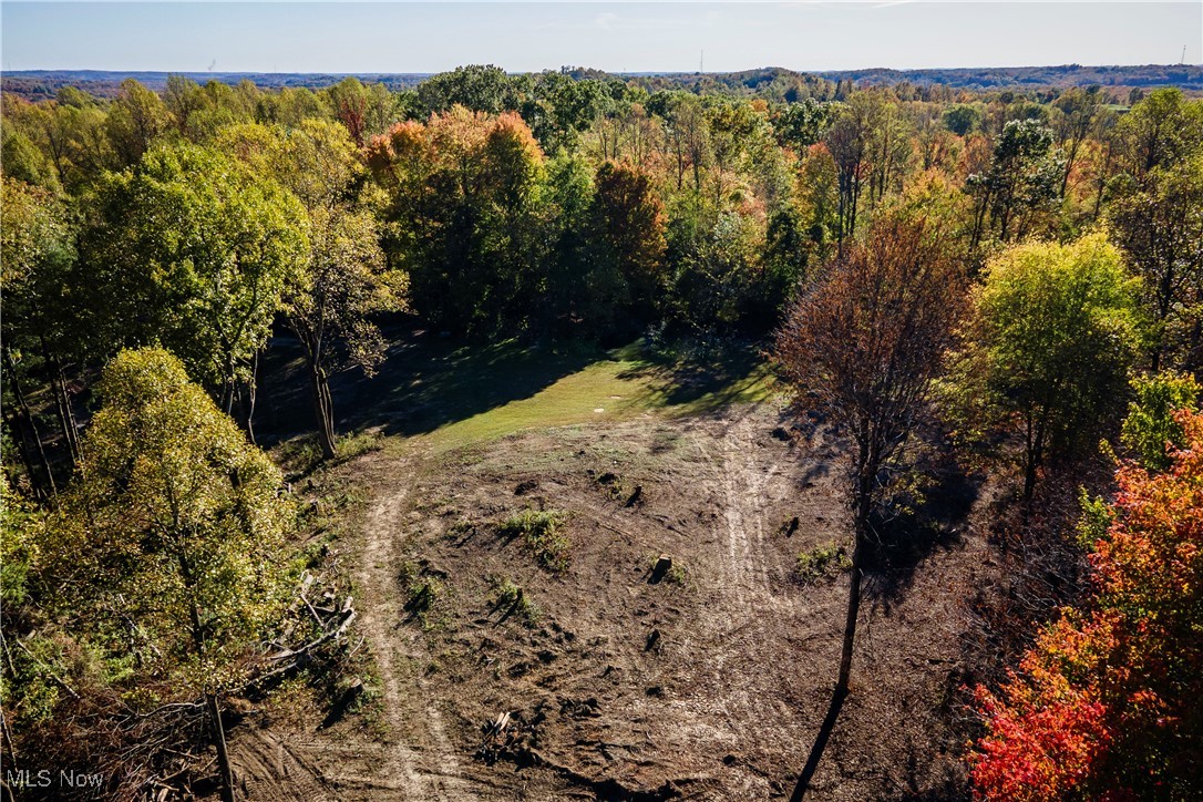 Orchard View Drive, East Canton, Ohio image 38