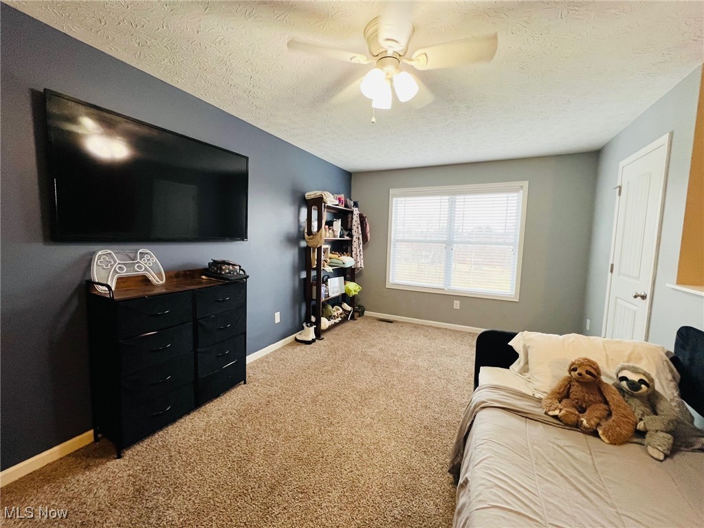 70960 Twin Beech Road, Bridgeport, Ohio image 37