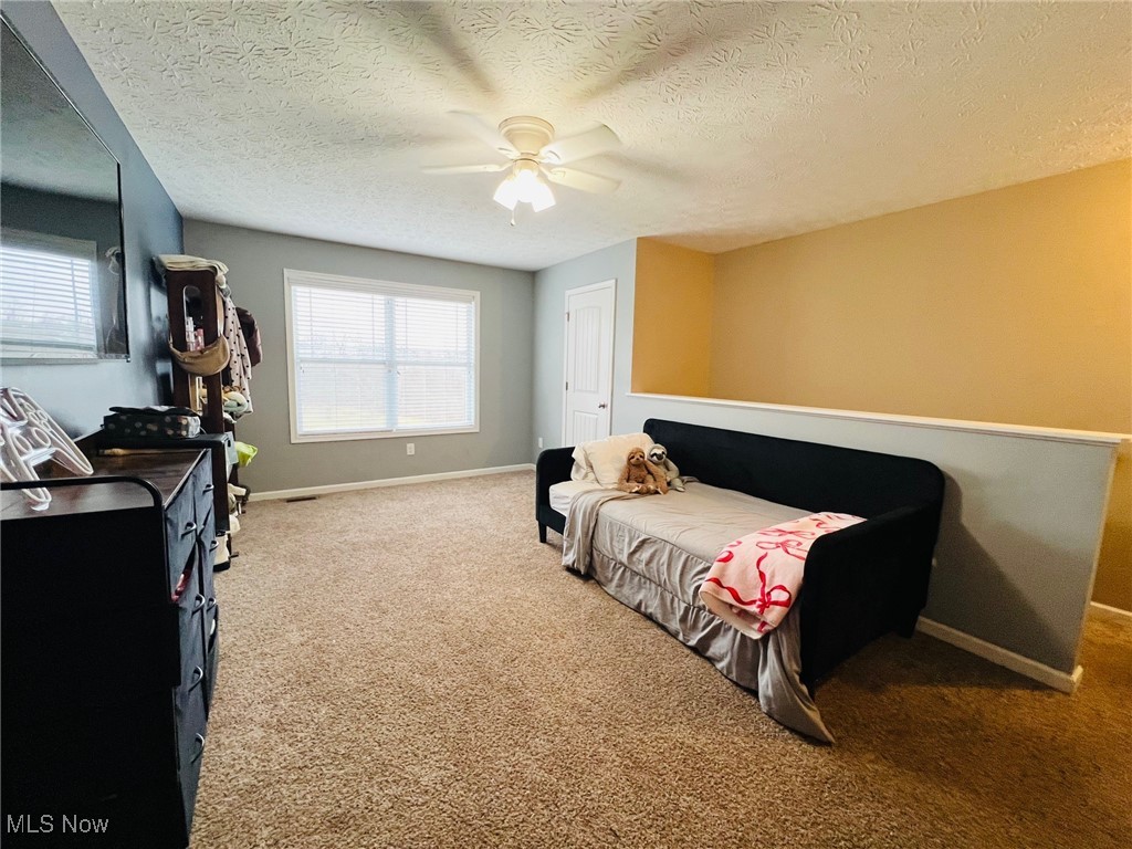 70960 Twin Beech Road, Bridgeport, Ohio image 38