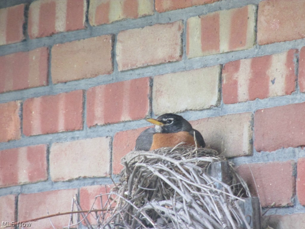 Laurel Oak Estates - Residential