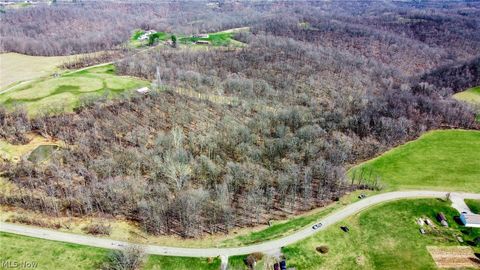 Vacant Land For Sale - 17805 Early Cemetary Road<br/> Kimbolton, OH 43749