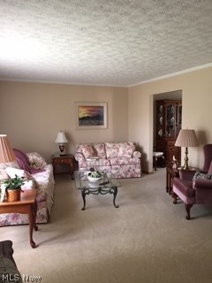 Hampton Park - Residential