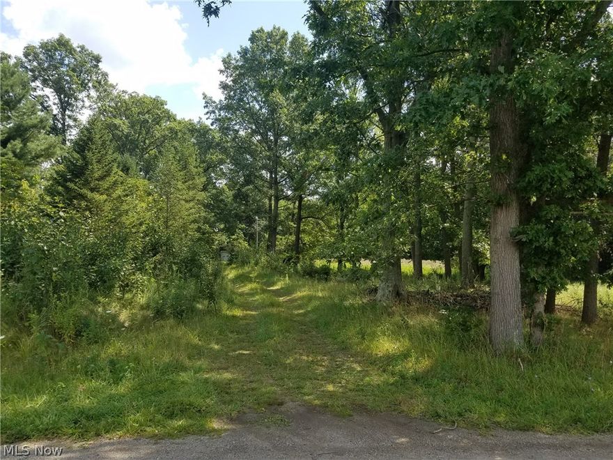 2.58 acre wooded lot with frontage on Elyria and Ickes roads. Lot faces west with a nice view. Has a 16x28 garage that needs a new roof. Also has a well and septic.