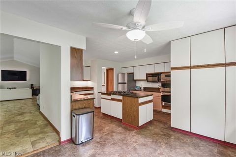 Tiny photo for 32078 Willow Circle, Avon Lake, OH 44012 (MLS # 5200398)