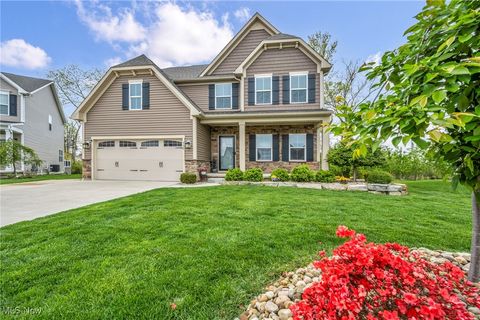 532 Birkdale Circle, Painesville Township, OH 44077 - MLS#: 5111912
