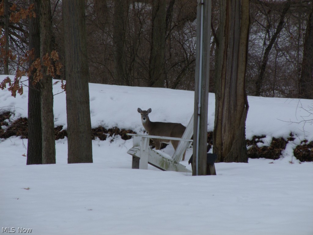 Long Lake Estate #2 - Residential
