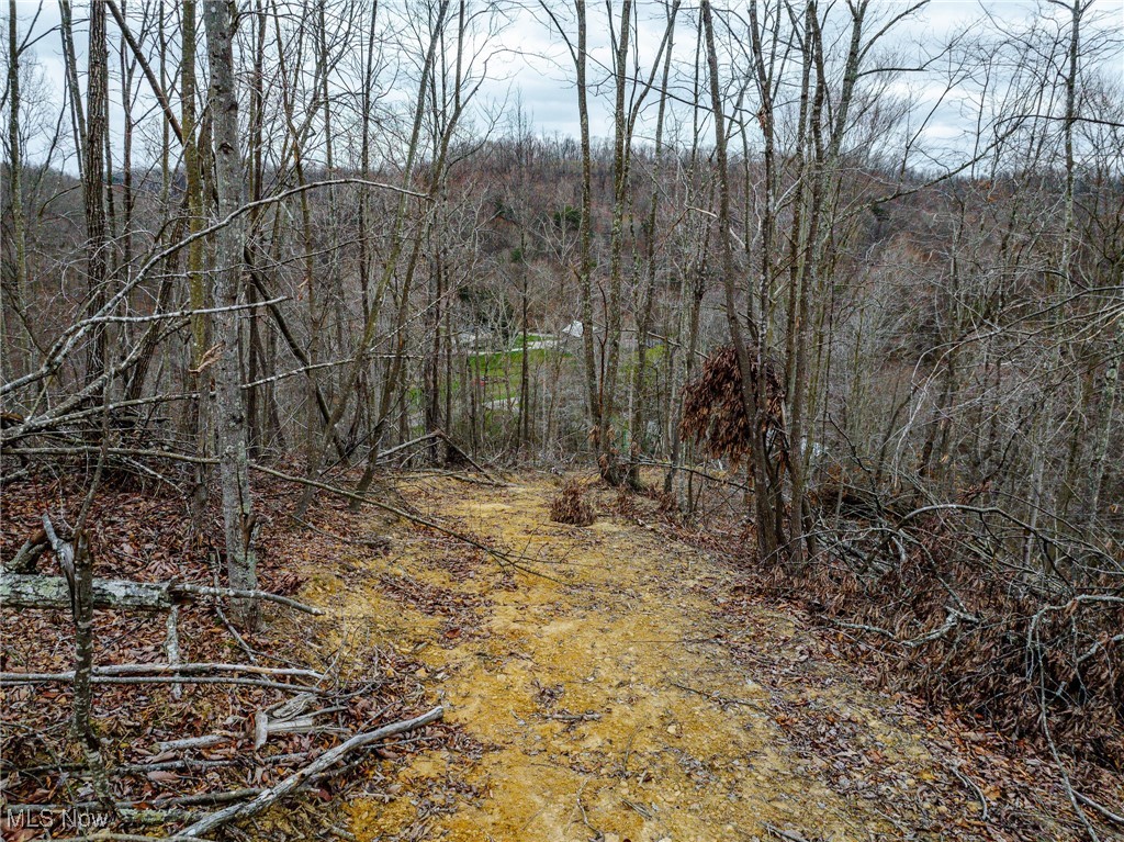 V/L Haney Road, Wheelersburg, Ohio image 3