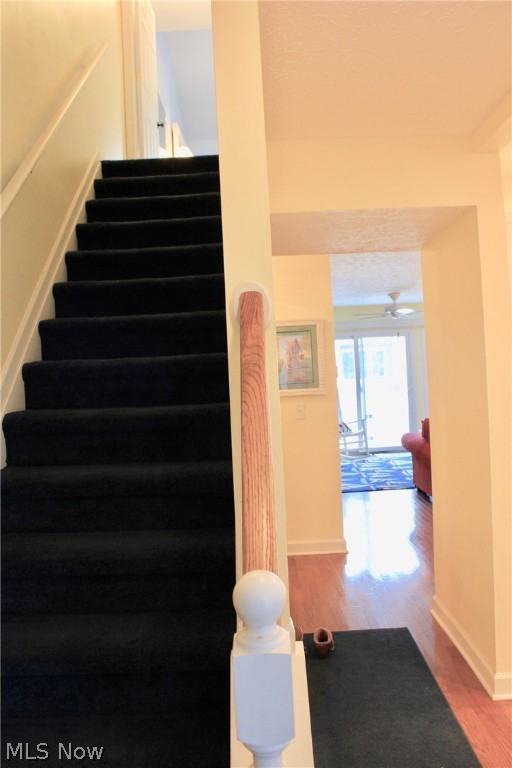 Catawba Shores - Residential