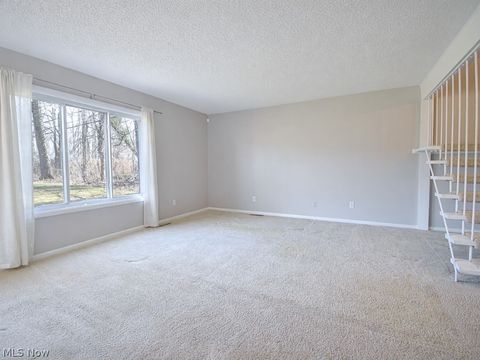 Tiny photo for 6400 Center St #50, Mentor, OH 44060 (MLS # 5189763)