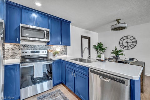 Tiny photo for 307 Saint Lawrence Boulevard, Eastlake, OH 44095 (MLS # 5254783)