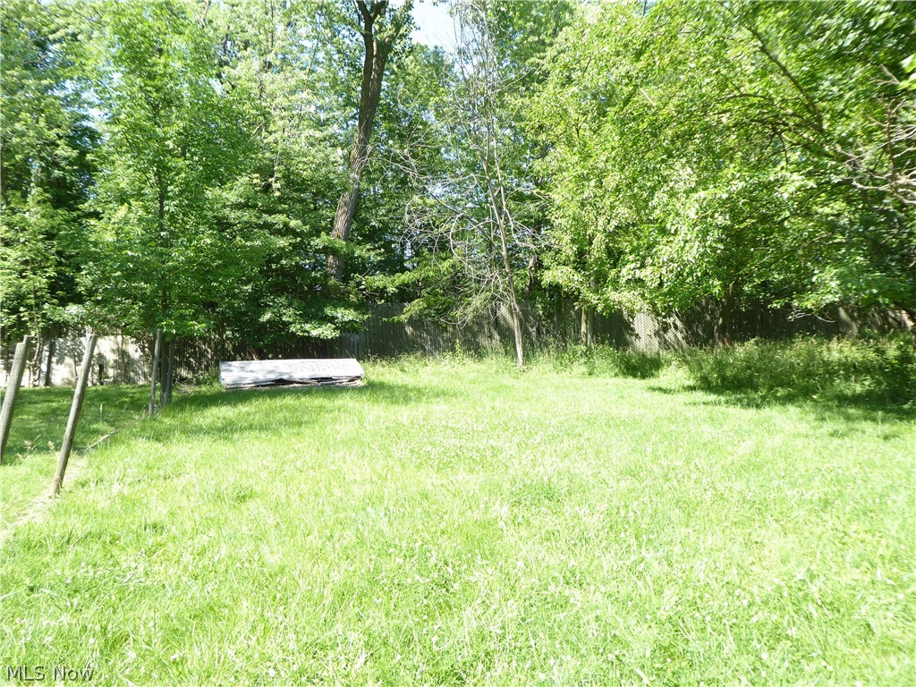 Bellaire/Puritas - Residential