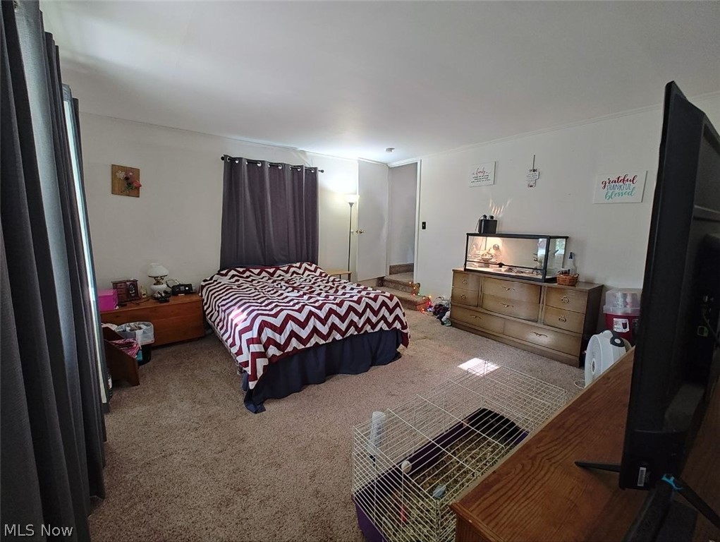 Shelby - Residential